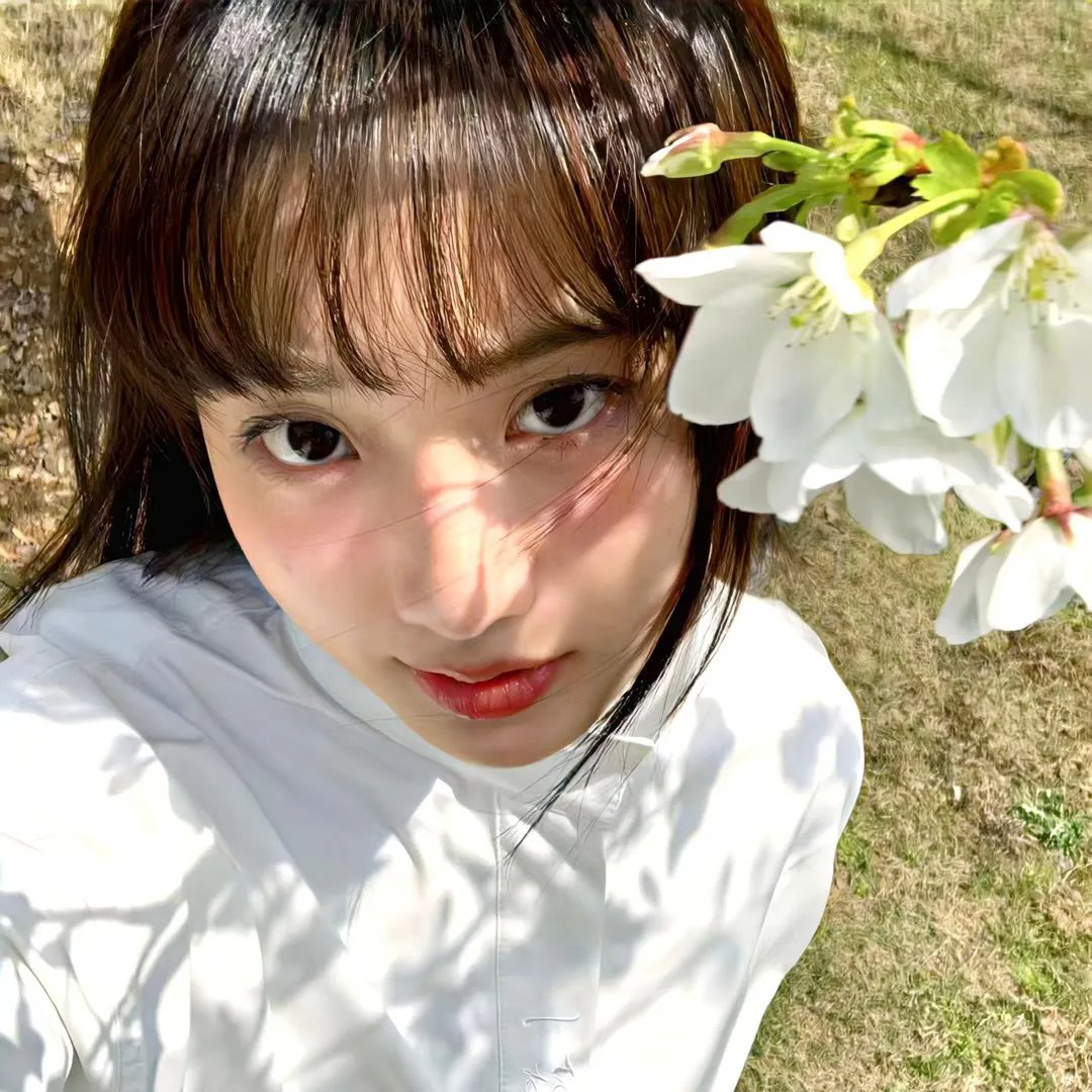 火影忍者剧场版：大兴奋！三日月岛的动物骚动